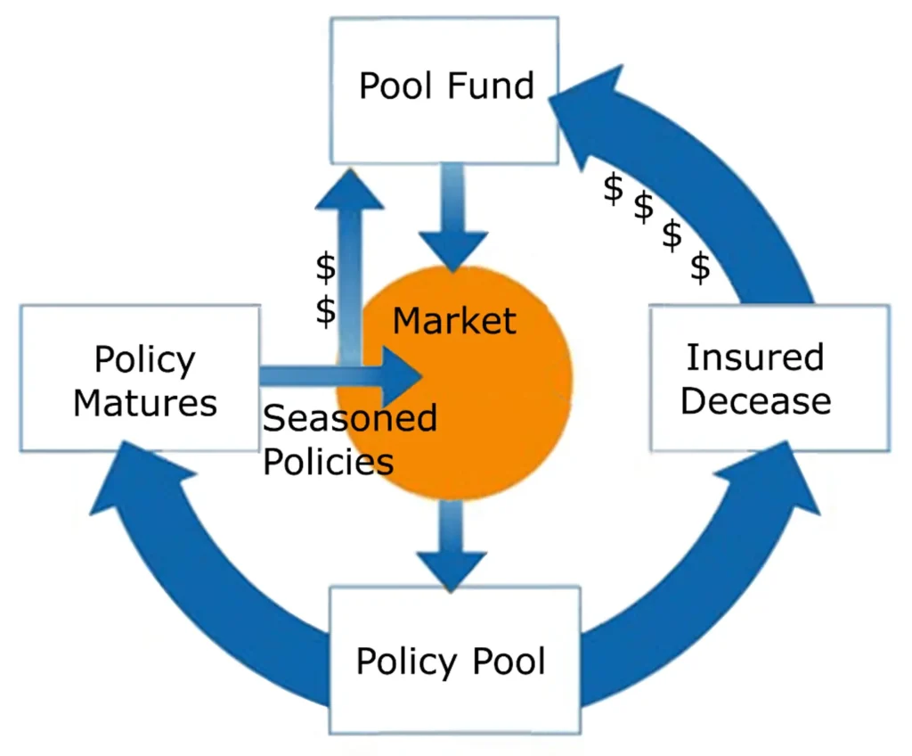 Life Settlement Investment Fund Flow